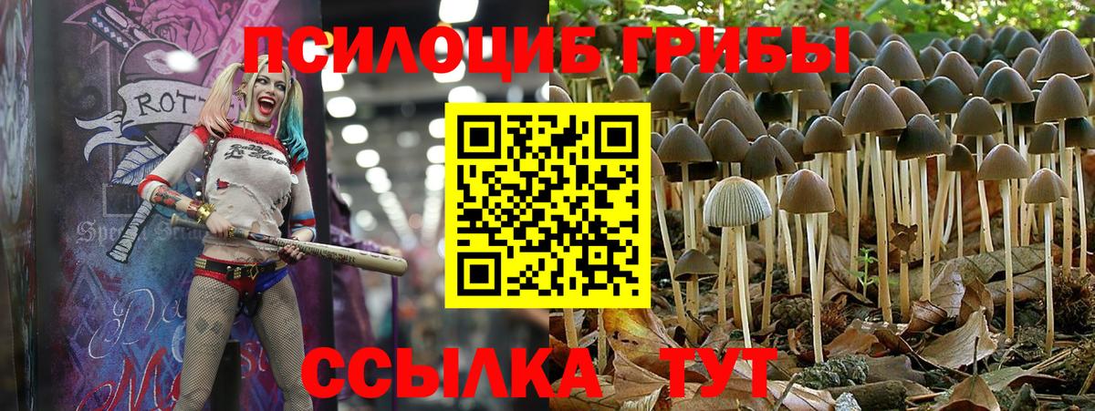 Барабинск  Псилоцибиновые грибы Psilocybine cubensis  Вход с VPN  Псилоцибиновые грибы ЛСД 